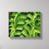 Fern Canvas Afdruk (Voorkant)