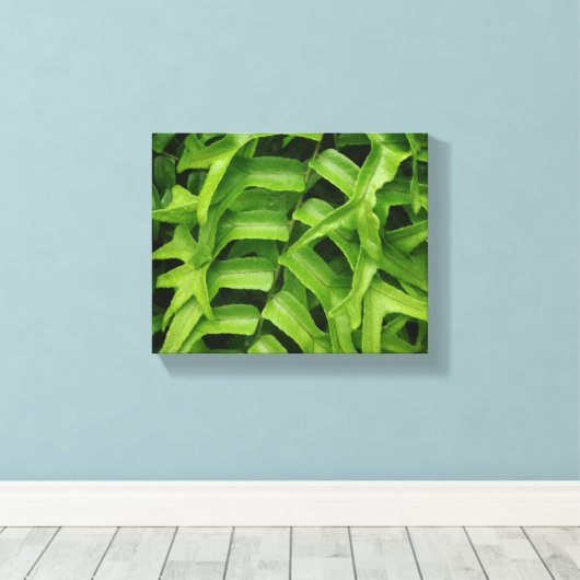 Fern Canvas Afdruk (Insitu (Houten vloer))