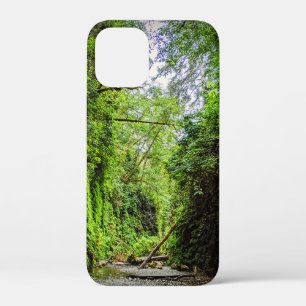 Fern Canyon Green Walls in Redwood National Park Case-Mate iPhone Case