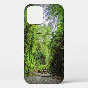 Fern Canyon Green Walls in Redwood National Park Case-Mate iPhone Case