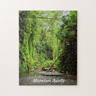 Fern Canyon Green Walls in Redwood National Park Legpuzzel