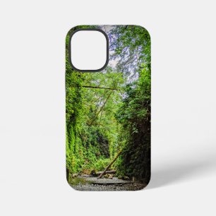 Fern Canyon groene wanden in Redwoods National Par iPhone 12 Mini Hoesje