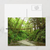 Fern Canyon I in Redwood National Park Briefkaart (Voorkant / Achterkant)