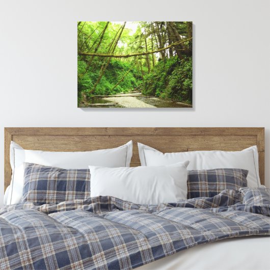 Fern Canyon I in Redwood National Park Canvas Afdruk (Insitu (Slaapkamer))