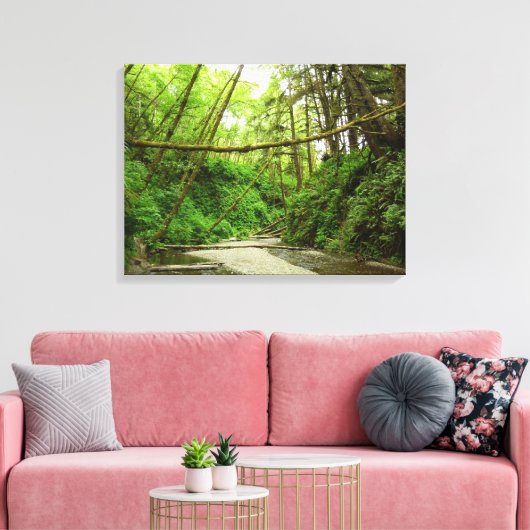 Fern Canyon I in Redwood National Park Canvas Afdruk (Insitu (Woonkamer))
