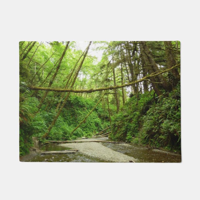 Fern Canyon I in Redwood National Park Deurmat (Voorkant)