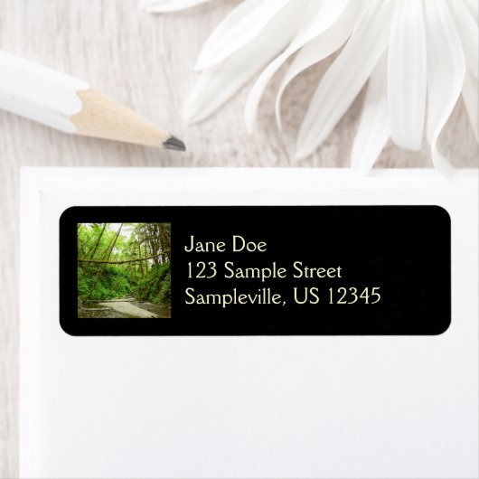 Fern Canyon I in Redwood National Park Etiket (Insitu)