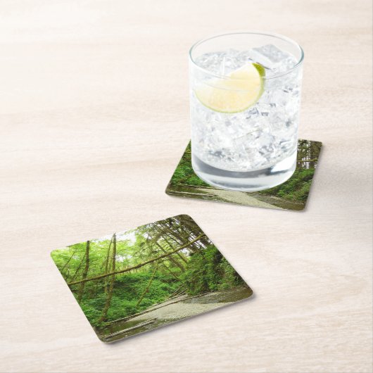 Fern Canyon I in Redwood National Park Kartonnen Onderzetters (Insitu)