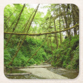 Fern Canyon I in Redwood National Park Kartonnen Onderzetters (Voorkant)