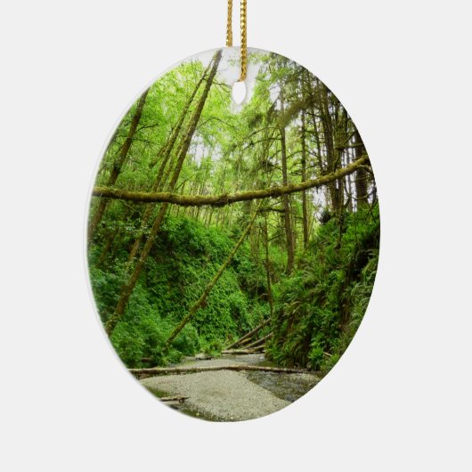 Fern Canyon I in Redwood National Park Keramisch Ornament (Rechts)