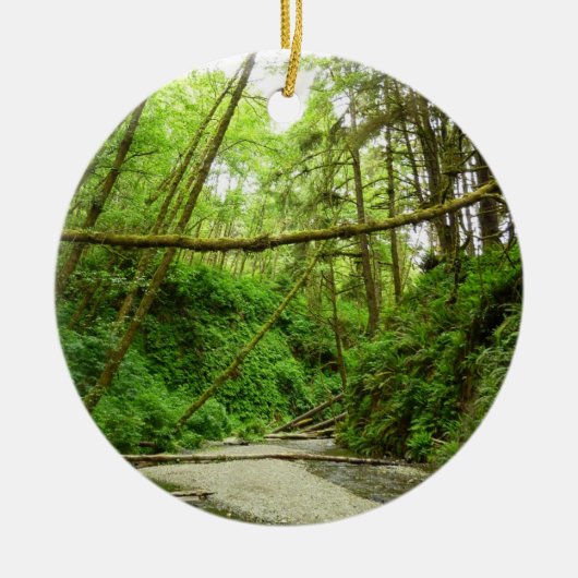 Fern Canyon I in Redwood National Park Keramisch Ornament (Voorkant)