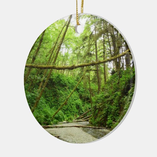 Fern Canyon I in Redwood National Park Keramisch Ornament (Links)
