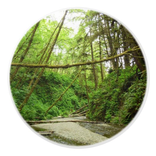 Fern Canyon I in Redwood National Park Keramische Knop (Voorkant)