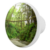 Fern Canyon I in Redwood National Park Keramische Knop (Rechts)