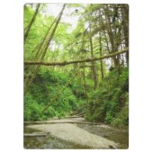 Fern Canyon I in Redwood National Park Klembord (Achterkant)