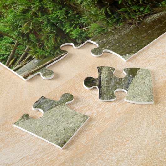 Fern Canyon I in Redwood National Park Legpuzzel (Zijkant)