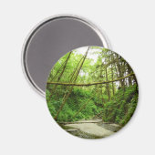 Fern Canyon I in Redwood National Park Magneet (Voorkant / Achterkant)