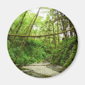 Fern Canyon I in Redwood National Park Magneet (Voorkant)