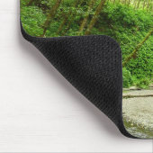 Fern Canyon I in Redwood National Park Muismat (Hoek)