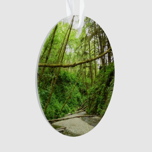 Fern Canyon I in Redwood National Park Ornament (voorkant)