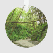 Fern Canyon I in Redwood National Park Ornament (achterkant)
