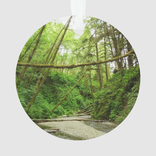 Fern Canyon I in Redwood National Park Ornament (achterkant)