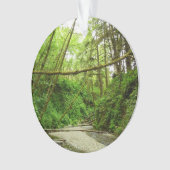 Fern Canyon I in Redwood National Park Ornament (voorkant)