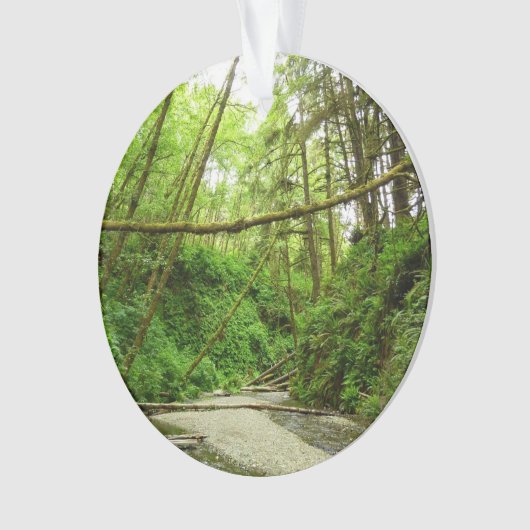 Fern Canyon I in Redwood National Park Ornament (voorkant)