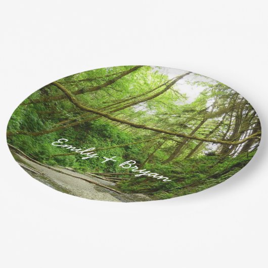 Fern Canyon I in Redwood National Park Papieren Bordje (Gekanteld)