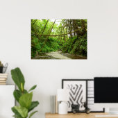 Fern Canyon I in Redwood National Park Poster (Thuiskantoor)