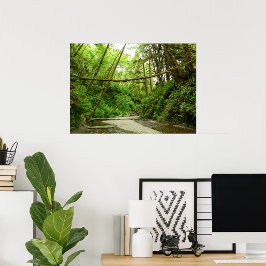 Fern Canyon I in Redwood National Park Poster (Thuiskantoor)
