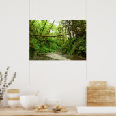 Fern Canyon I in Redwood National Park Poster (Keuken)