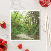 Fern Canyon I in Redwood National Park Servet (Insitu)