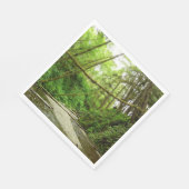 Fern Canyon I in Redwood National Park Servet (Hoek)