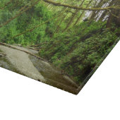 Fern Canyon I in Redwood National Park Snijplank (Hoek)