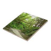 Fern Canyon I in Redwood National Park Tegeltje (Zijkant)