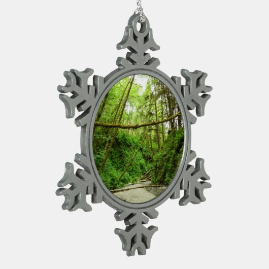 Fern Canyon I in Redwood National Park Tin Sneeuwvlok Ornament (Links)