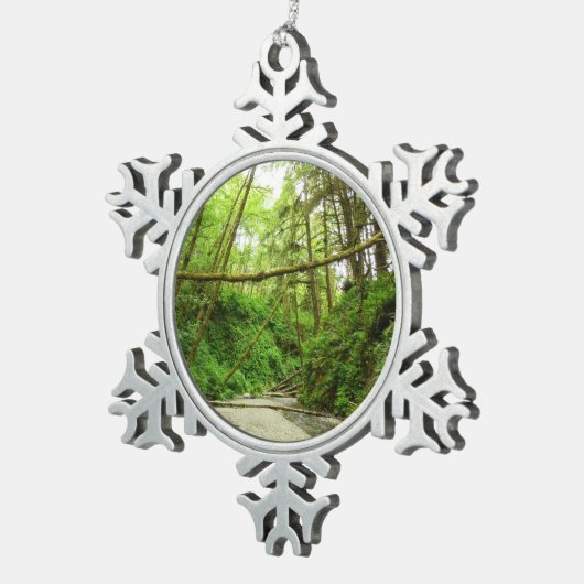Fern Canyon I in Redwood National Park Tin Sneeuwvlok Ornament (Rechts)