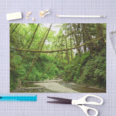Fern Canyon I in Redwood National Park Tissuepapier (Craft)
