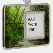 Fern Canyon I in Redwood National Park Verzilverd Omlijst Ornament (Rechts)