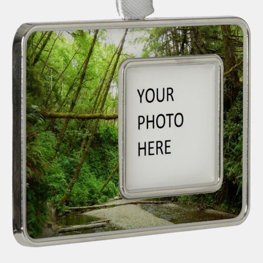Fern Canyon I in Redwood National Park Verzilverd Omlijst Ornament (Rechts)