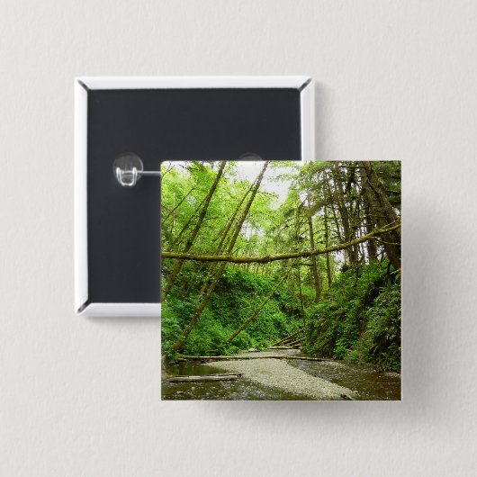 Fern Canyon I in Redwood National Park Vierkante Button 5,1 Cm (Voorkant /achterkant)