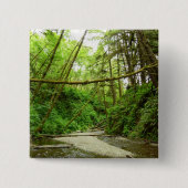 Fern Canyon I in Redwood National Park Vierkante Button 5,1 Cm (Voorkant)