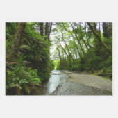 Fern Canyon I Inpakpapier Vel (Voorkant 3)