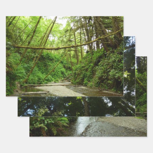 Fern Canyon I Inpakpapier Vel (Set)