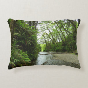 Fern Canyon II in Redwood National Park Accent Kussen