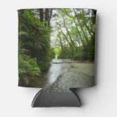 Fern Canyon II in Redwood National Park Blikjeskoeler (Voorkant)