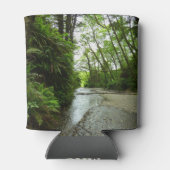 Fern Canyon II in Redwood National Park Blikjeskoeler (Achterkant)