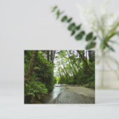 Fern Canyon II in Redwood National Park Briefkaart (Staand voorkant)