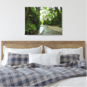 Fern Canyon II in Redwood National Park Canvas Afdruk (Insitu (Slaapkamer))